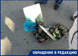 Предприимчивая цыганка выдавала капусту за чудо-растение в поселке Зимовники 