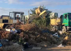 Листва под запретом: с 1 сентября россиян ждут новые правила утилизации отходов