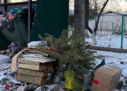 Инспекторы наказали УК «ЖРЭУ-5» за кучу мусора на контейнерной площадке 