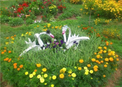 На оформление цветочных клумб в Волгодонске потратят 7,5 млн рублей