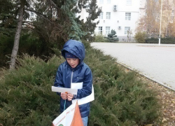 Бег по парку: в Волгодонске прошли соревнования по спортивному ориентированию