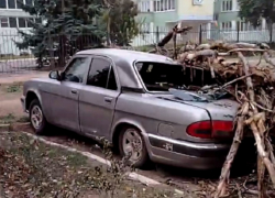 Тополь раздавил легковой автомобиль в районе педучилища в Волгодонске