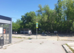 Надо срубить 4 дерева: в Шлюзах стартует подготовка к строительству самой большой в городе остановки для дачников