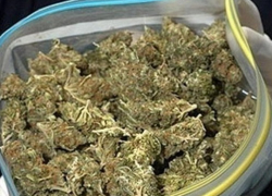 Прогулка по Волгодонску с пакетом марихуаны до добра не доводит