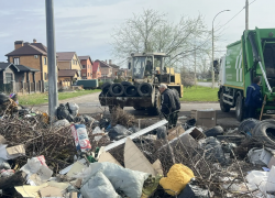 «Только покрышек вывезли 3 самосвала»: в Волгодонске стартовал сезон фотоохоты на «свиней-мусорщиков»