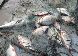 Ночных браконьеров задержали в акватории Цимлянского водохранилища