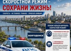 42 аварии с начала года: ГИБДД Волгодонска назвало главные причины ДТП