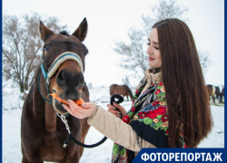 «Лошадь лечит душу человека»: «Конное подворье» приглашает волгодонцев в гости