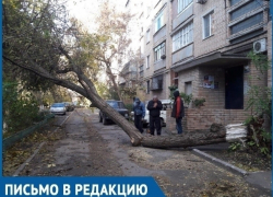 Летающие тарелки и падающие деревья: как Волгодонск переживает ураганный ветер 