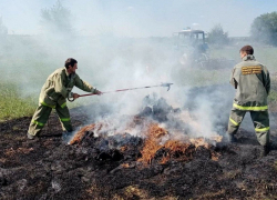 Почти 200 гектаров леса сгорело в Орловском районе