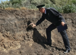 В Орловском районе на сельхозземлях незаконно сняли плодородный слой почвы