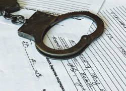 Мошенники, воры и браконьеры возглавили криминальный рейтинг Волгодонска