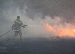Пытаясь спасти пчел из огня погиб мужчина под Волгодонском 