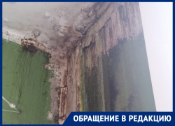 «Зонт открываем еще на выходе из квартиры»: в Волгодонске затопило подъезд многоквартирного дома