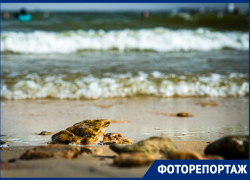 Ничем не хуже, чем на Черном море: Цимлянский пляж - изюминка Ростовской области 