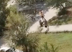 Неадекватная волгодончанка отпинала случайную прохожую на проспекте Строителей 