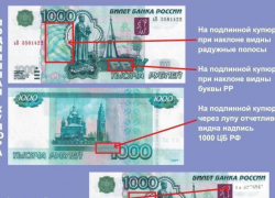 Волгодонцам рассказали, как распознать поддельные деньги