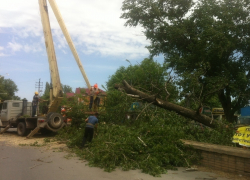 В Волгодонске огромный тополь пробил газовую трубу и перегородил проезжую часть