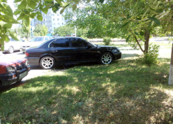 Очередные фотографии из серии «Паркуюсь как хочу» прислал читатель