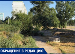 «Вместо дорожки – метровые заросли травы с клещами, а на месте парковки – грязевой бассейн»: волгодонцев шокировал микрорайон В-9
