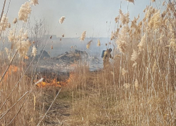 Штрафы за выжигание сухой растительности в пожароопасный период могут получить волгодонцы 