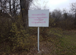 В Волгодонске заново обмерили и пересчитали городские леса