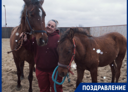 Символы Нового года Фина и Сокол поздравляют волгодонцев с наступающим праздником!