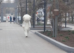 Унылый серый день в преддверии сказочной зимы ожидает волгодонцев сегодня 