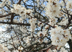 До -3: МЧС предупреждает о трёх холодных ночах в Волгодонске подряд