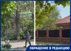 «Это уже крик души»: два гигантских тополя на улице Горького отравляют жизнь волгодонцам