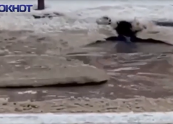 Водоканал Волгодонска отреагировал на жалобу о затоплении канализационными водами улицы Горького