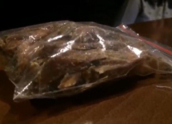 Кишащих тараканов в упакованной сушеной рыбе сняли на видео посетители пивбара в Волгодонске 