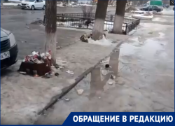  «Противно передвигаться по городу»: замусоренные улицы Волгодонска показали читатели