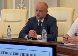 К валке деревьев надо подходить грамотно: Дмитрий Вельможко посоветовал беречь деревья, если их можно спасти