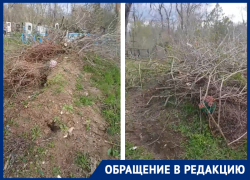 «Не будьте свиньями»: волгодонец призвал людей убирать за собой мусор на кладбище