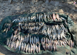До двух лет тюрьмы грозит 30-летнему рыбаку за незаконный вылов биоресурсов на берегу Цимлянского водохранилища