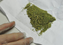 Молодого любителя «травки» задержали в Волгодонске на улице Королева