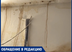 «Течет с крыши жидкое голубиное дерьмо, обои позеленели»: люди в шоке от работы УК «Милана» в доме на Морской