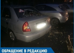 Рухнувшая ветка размером с бревно, пробила дыру в заднем стекле автомобиля