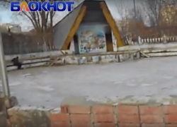 «Жуткая «Дружба» с развалинами парка и бомжами: каким был Волгодонск 10 лет назад в 2016 году