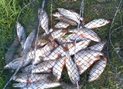 За время «Путины-2015» полицейские Волгодонска возбудили 47 уголовных дел на браконьеров