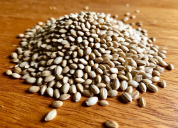 Эксперты рассказали, как правильно хранить семена для будущего урожая