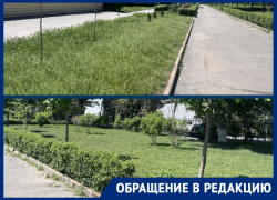 Волгодончанка указала предпринимателям и работникам АЭС на контраст между их ухоженной территорией и заросшим бульваром Великой Победы