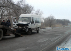 Под Волгодонском пассажирский автобус врезался в дерево