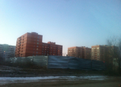 В Волгодонске в  жестоком убийстве пса в районе ГСК -14 подозревают рабочих с ближайшей стройки