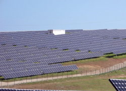 В Волгодонске могут построить солнечную электростанцию площадью в полтора «поля дураков» 