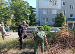 В новом городе коммунальщики ликвидировали свалочный очаг