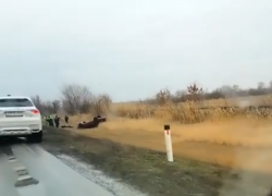 Погибли женщина и четырехлетний ребенок: страшное ДТП произошло на автодороге «Семикаракорск - Волгодонск»