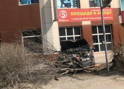 Волгодончанка на «Альфа Ромео» снесла дерево и кусты возле «Казымова» 