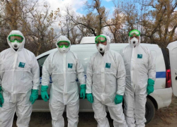 Люди с приманкой: ветеринары Волгодонска провели осеннюю иммунизацию диких животных от бешенства